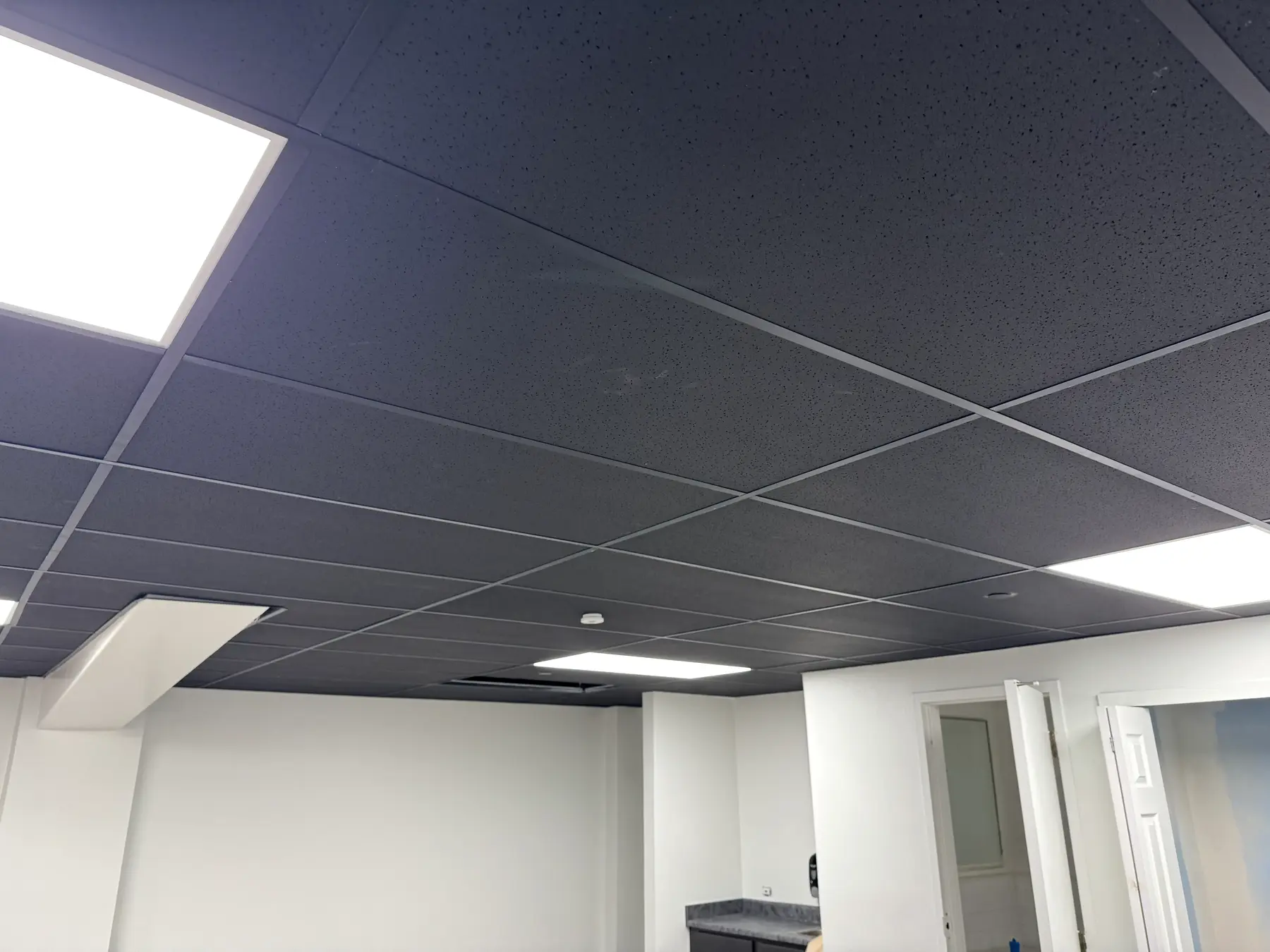 Finished commercial ceiling with LED panels and recessed lighting